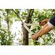 Fiskars Гілкоріз контактний  White L32, фото , зображення 3 | SNABZHENIE.com.ua Fiskars Гілкоріз контактний  White L32, фото , зображення 3 | SNABZHENIE.com.ua