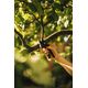 Fiskars Секатор контактний PowerStep P83, фото , зображення 3 | SNABZHENIE.com.ua Fiskars Секатор контактний PowerStep P83, фото , зображення 3 | SNABZHENIE.com.ua
