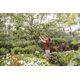 Fiskars Секатор контактний PowerGear PX93 L, фото , зображення 8 | SNABZHENIE.com.ua Fiskars Секатор контактний PowerGear PX93 L, фото , зображення 8 | SNABZHENIE.com.ua