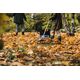 Fiskars Граблі для листя Xact L 490мм, фото , изображение 3 | SNABZHENIE.com.ua Fiskars Граблі для листя Xact L 490мм, фото , изображение 3 | SNABZHENIE.com.ua