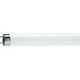 Philips TL-D G13 600mm 18W/54-765 1SL/25, фото , зображення 2 | SNABZHENIE.com.ua Philips TL-D G13 600mm 18W/54-765 1SL/25, фото , зображення 2 | SNABZHENIE.com.ua