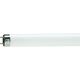 Philips TL-D G13 1500mm 58W/54-765 1SL/25, фото , изображение 2 | SNABZHENIE.com.ua Philips TL-D G13 1500mm 58W/54-765 1SL/25, фото , изображение 2 | SNABZHENIE.com.ua
