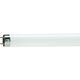 Philips TL-D G13 1200mm 36W/33-640 1SL/25, фото , зображення 2 | SNABZHENIE.com.ua Philips TL-D G13 1200mm 36W/33-640 1SL/25, фото , зображення 2 | SNABZHENIE.com.ua