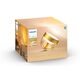 Philips Hue Настільний світильник розумний  Iris, 2000K-6500K, RGB, ZigBee, Bluetooth, димування, золотий, фото , зображення 9 | SNABZHENIE.com.ua