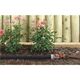 Шланг сочащийся Gardena 15 м, фото , зображення 2 | SNABZHENIE.com.ua Шланг сочащийся Gardena 15 м, фото , зображення 2 | SNABZHENIE.com.ua