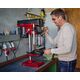 Верстат свердлильний Einhell TE-BD 550 E, 550Вт, 450-2500 об·хв, 21.2кг, фото , зображення 5 | SNABZHENIE.com.ua Верстат свердлильний Einhell TE-BD 550 E, 550Вт, 450-2500 об·хв, 21.2кг, фото , зображення 5 | SNABZHENIE.com.ua