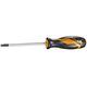 Викрутка Tolsen Ерго Torx, T25x4.5x100мм, фото  | SNABZHENIE.com.ua Викрутка Tolsen Ерго Torx, T25x4.5x100мм, фото  | SNABZHENIE.com.ua