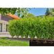 Шланг для микрокапельного полива Gardena Micro-Drip-System 13 мм 25 м, фото , зображення 4 | SNABZHENIE.com.ua Шланг для микрокапельного полива Gardena Micro-Drip-System 13 мм 25 м, фото , зображення 4 | SNABZHENIE.com.ua