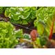 Соединитель Т-образный Gardena Micro-Drip-System для шлангов 4,6 мм 10 шт, фото , зображення 7 | SNABZHENIE.com.ua Соединитель Т-образный Gardena Micro-Drip-System для шлангов 4,6 мм 10 шт, фото , зображення 7 | SNABZHENIE.com.ua