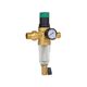 Фильтр самопромывной Thermo Alliance Forte 3/4" с редуктором для холодной воды SF128W20C, фото  | SNABZHENIE.com.ua Фильтр самопромывной Thermo Alliance Forte 3/4" с редуктором для холодной воды SF128W20C, фото  | SNABZHENIE.com.ua