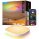 Потолочний світильник Govee H60A4 30cm Smart Square Ceiling Light, RGBWW + RGBIC, WI-FI/Bluetooth, білий, фото  | SNABZHENIE.com.ua