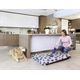 Пылесос аккумуляторный BLACK+DECKER DVA325JP07, фото , изображение 5 | SNABZHENIE.com.ua Пылесос аккумуляторный BLACK+DECKER DVA325JP07, фото , изображение 5 | SNABZHENIE.com.ua