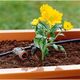 Капельница Gardena 2 л/ч, внутренняя компенсирующая, фото , изображение 4 | SNABZHENIE.com.ua Капельница Gardena 2 л/ч, внутренняя компенсирующая, фото , изображение 4 | SNABZHENIE.com.ua