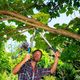 Веткорез и секатор Gardena 12003-30, фото , изображение 5 | SNABZHENIE.com.ua Веткорез и секатор Gardena 12003-30, фото , изображение 5 | SNABZHENIE.com.ua