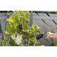 Комплект інструментів з ковшем Gardena 8966-32, фото , зображення 2 | SNABZHENIE.com.ua Комплект інструментів з ковшем Gardena 8966-32, фото , зображення 2 | SNABZHENIE.com.ua