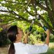 Сучкорез Gardena EasyCut 500B, фото , изображение 2 | SNABZHENIE.com.ua Сучкорез Gardena EasyCut 500B, фото , изображение 2 | SNABZHENIE.com.ua