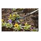 Сапка Gardena Combisystem 16 см, фото , зображення 2 | SNABZHENIE.com.ua Сапка Gardena Combisystem 16 см, фото , зображення 2 | SNABZHENIE.com.ua