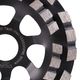 Фреза алмазная DGS-S 125/22.23-14 PRO Tech, фото , изображение 2 | SNABZHENIE.com.ua Фреза алмазная DGS-S 125/22.23-14 PRO Tech, фото , изображение 2 | SNABZHENIE.com.ua