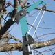 Веткоріз комбісистеми Gardena, фото , зображення 8 | SNABZHENIE.com.ua Веткоріз комбісистеми Gardena, фото , зображення 8 | SNABZHENIE.com.ua