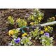 Культиватор Gardena Combisystem, 3,6 см, фото , изображение 8 | SNABZHENIE.com.ua Культиватор Gardena Combisystem, 3,6 см, фото , изображение 8 | SNABZHENIE.com.ua