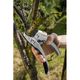 Секатор Gardena SmartCut с храповым механизмом, фото , изображение 5 | SNABZHENIE.com.ua Секатор Gardena SmartCut с храповым механизмом, фото , изображение 5 | SNABZHENIE.com.ua