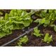 Колишки GARDENA для фіксації шланга 13 мм, 10 шт., фото , зображення 6 | SNABZHENIE.com.ua Колишки GARDENA для фіксації шланга 13 мм, 10 шт., фото , зображення 6 | SNABZHENIE.com.ua