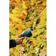 Аккумуляторные кусторезы-ножницы Gardena ClassicCut, фото , изображение 3 | SNABZHENIE.com.ua Аккумуляторные кусторезы-ножницы Gardena ClassicCut, фото , изображение 3 | SNABZHENIE.com.ua