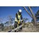 Пила ланцюгова акумуляторна DCM565P1 DeWALT, фото , зображення 8 | SNABZHENIE.com.ua Пила ланцюгова акумуляторна DCM565P1 DeWALT, фото , зображення 8 | SNABZHENIE.com.ua