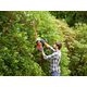 Кусторез BLACK DECKER BEHTS301, фото , изображение 6 | SNABZHENIE.com.ua Кусторез BLACK DECKER BEHTS301, фото , изображение 6 | SNABZHENIE.com.ua