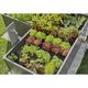 Комплект для поливу Gardena Micro-Drip-System для високих грядок на 35 рослин, фото , зображення 3 | SNABZHENIE.com.ua Комплект для поливу Gardena Micro-Drip-System для високих грядок на 35 рослин, фото , зображення 3 | SNABZHENIE.com.ua