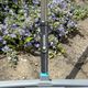 Щетка Gardena NatureLine для террас, 140 см с ручкой, фото , изображение 4 | SNABZHENIE.com.ua Щетка Gardena NatureLine для террас, 140 см с ручкой, фото , изображение 4 | SNABZHENIE.com.ua