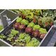 Комплект для поливу Gardena Micro-Drip-System для високих грядок на 35 рослин, фото , зображення 7 | SNABZHENIE.com.ua Комплект для поливу Gardena Micro-Drip-System для високих грядок на 35 рослин, фото , зображення 7 | SNABZHENIE.com.ua
