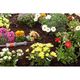 Шланг зрошувальний Gardena для наземної прокладки, фото , зображення 4 | SNABZHENIE.com.ua Шланг зрошувальний Gardena для наземної прокладки, фото , зображення 4 | SNABZHENIE.com.ua