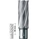 Твердосплавное корончатое сверло 12x55 мм Carbide ТСТ (HM) Weldon19 BDS Maschinen HKL 012, фото  | SNABZHENIE.com.ua Твердосплавное корончатое сверло 12x55 мм Carbide ТСТ (HM) Weldon19 BDS Maschinen HKL 012, фото  | SNABZHENIE.com.ua