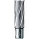 Твердосплавне корончате свердло 26x55 мм Carbide ТСТ (HM) Weldon19 BDS Maschinen HKL 026, фото , зображення 2 | SNABZHENIE.com.ua Твердосплавне корончате свердло 26x55 мм Carbide ТСТ (HM) Weldon19 BDS Maschinen HKL 026, фото , зображення 2 | SNABZHENIE.com.ua