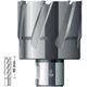 Твердосплавное корончатое сверло 86x55 мм Carbide ТСТ (HM) Weldon32 BDS Maschinen HKL 086, фото  | SNABZHENIE.com.ua Твердосплавное корончатое сверло 86x55 мм Carbide ТСТ (HM) Weldon32 BDS Maschinen HKL 086, фото  | SNABZHENIE.com.ua
