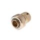 Коннектор латунный 1/2" на шланг 3/4" STORM INTERTOOL GE-1220, фото , зображення 2 | SNABZHENIE.com.ua Коннектор латунный 1/2" на шланг 3/4" STORM INTERTOOL GE-1220, фото , зображення 2 | SNABZHENIE.com.ua