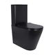 Унитаз напольный Qtap Scorpio Ultra Quiet безободковый с сиденьем Soft-Close матовый черный, фото  | SNABZHENIE.com.ua Унитаз напольный Qtap Scorpio Ultra Quiet безободковый с сиденьем Soft-Close матовый черный, фото  | SNABZHENIE.com.ua