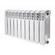 Біметалевий радіатор Thermo Alliance Bi-Ferrum 300/100 1,15 кг, фото  | SNABZHENIE.com.ua Біметалевий радіатор Thermo Alliance Bi-Ferrum 300/100 1,15 кг, фото  | SNABZHENIE.com.ua