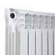 Біметалевий радіатор Thermo Alliance Bi-Ferrum 300/100 1,15 кг, фото , зображення 8 | SNABZHENIE.com.ua Біметалевий радіатор Thermo Alliance Bi-Ferrum 300/100 1,15 кг, фото , зображення 8 | SNABZHENIE.com.ua